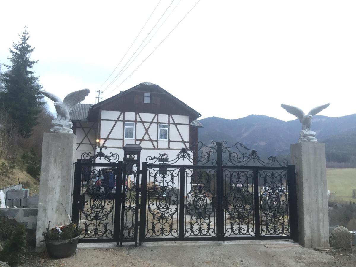 Panorama Lambach Appartament 米尔茨楚施拉格 外观 照片